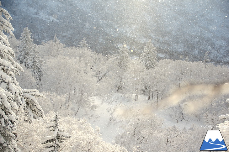 キロロリゾート 児玉毅の『雪山の達人』に密着！